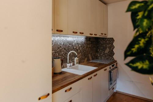 Η κουζίνα ή μικρή κουζίνα στο Apartmán v srdci Znojma „Jako doma“