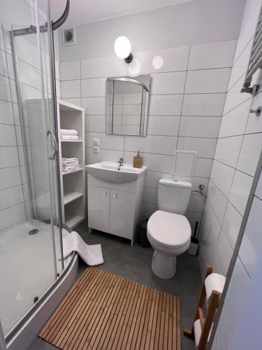 y baño con aseo, lavabo y ducha. en APARTAMENT OŚ. JASNE 9C en Dzierżoniów