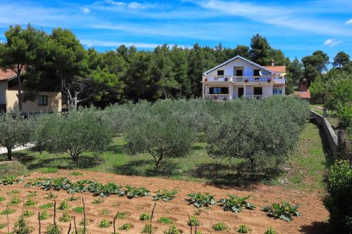 Gallery image of Apartmani Bruno in Bibinje