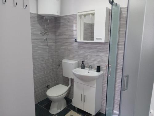 ein Bad mit einem WC und einem Waschbecken in der Unterkunft Apartman Kastelanic in Brbinj