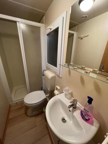 a bathroom with a sink and a toilet and a mirror at Apartments and bungalows vila Dalibor in Nin
