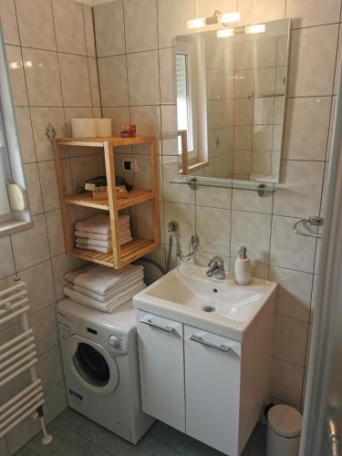 Apartments Irena with sea view