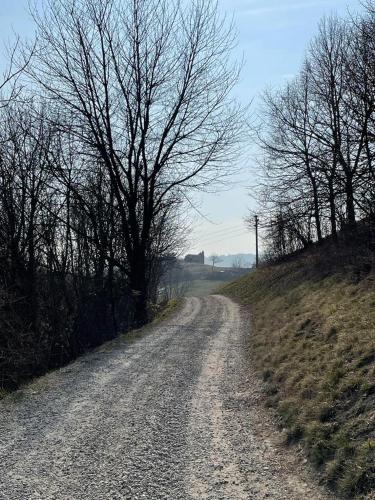 a dirt road with trees on the side of a field at La Corte del Barbio in Aramengo