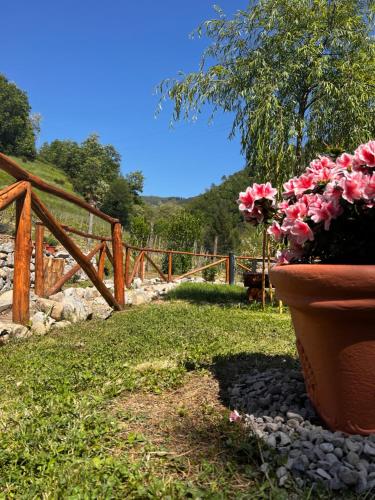 A garden outside Agriturismo I Prati di Venere