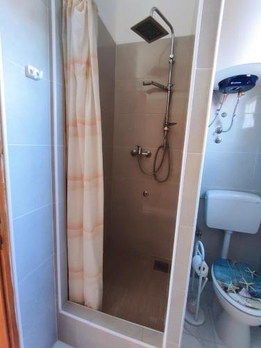 a shower with a glass door in a bathroom at Kaštelina apartments in Vir
