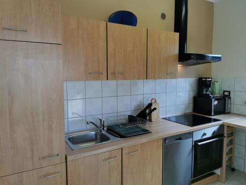 Dapur atau dapur kecil di Apartment Lara