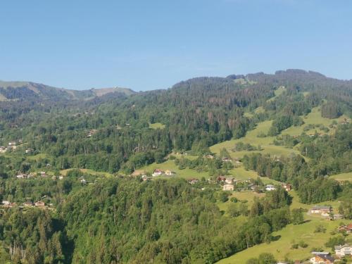 a valley in the mountains with houses and trees at Kaban' des neiges in Saint-Gervais-les-Bains