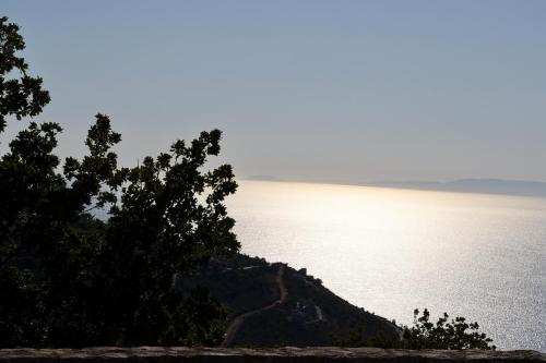 a view of a body of water with a tree at Sunset View Stone House, Areopoli Mani in Areopolis