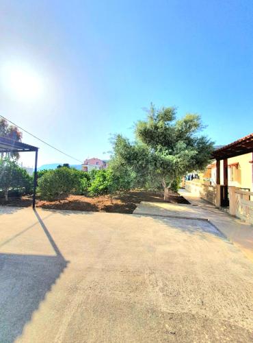 an empty street with a tree and a building at Chania Casa Portokali in Perivólia