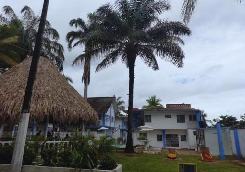 a house with palm trees in front of it at Hotel villa de Rauzan in Melgar