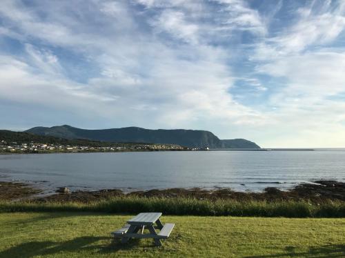 una mesa de picnic sentada en la hierba cerca del agua en Wildflowers Country Inn en Rocky Harbour