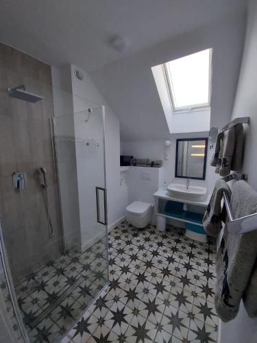 a bathroom with a shower and a toilet and a sink at Słoneczny Zakątek Sominy in Sominy