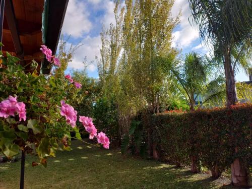 a garden with pink flowers and palm trees at Pampa y Saboya in Villa Elisa