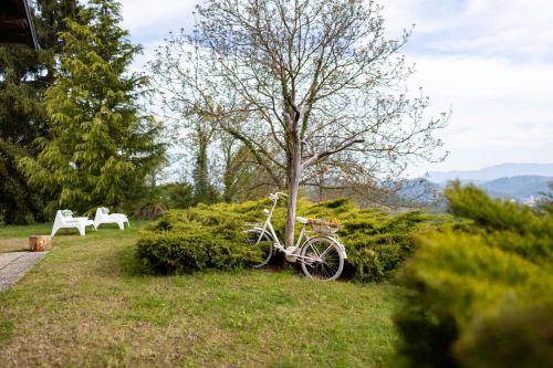 a bike parked in the grass next to a tree at Apartment Villa Ema in Krapinske Toplice