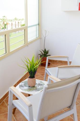 a room with two chairs and a table with a potted plant at DANTE APARTAMENT in Vlorë