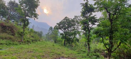 a field with trees on the side of a mountain at Karthik Resorts, Jeolikote Nainital in Nainital