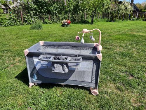 a suitcase sitting on the grass in a yard at Medijas in Saulkrasti