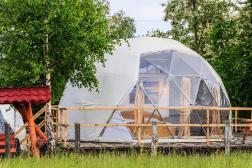 an igloo tent in a field next to a tree at Brancoveanu Glamping in Văratici