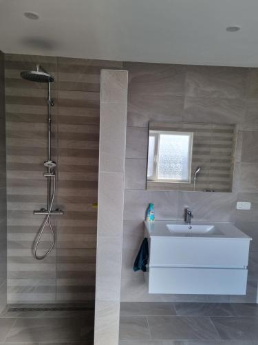 een badkamer met een witte wastafel en een douche bij De droom in Koningsbosch