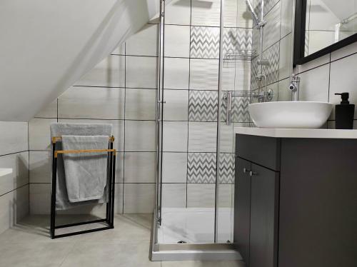 La salle de bains est pourvue d'un lavabo et d'une douche en verre. dans l'établissement Apartament GRAY CRANE, à Giżycko