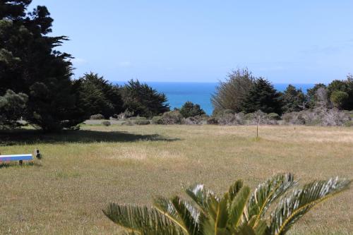 a park with a blue bench in the middle of a field at Cozy Getaway with Ocean View and Private Entrance! in Gualala