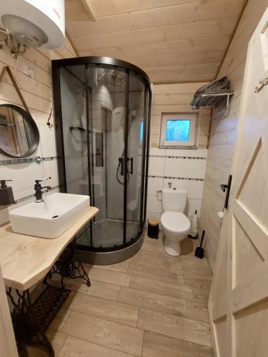 a bathroom with a shower and a sink and a toilet at Domek na drzewie in Trześcianka