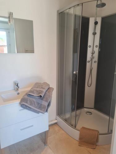 W łazience znajduje się prysznic i umywalka. w obiekcie Tylyan w mieście Le Thor