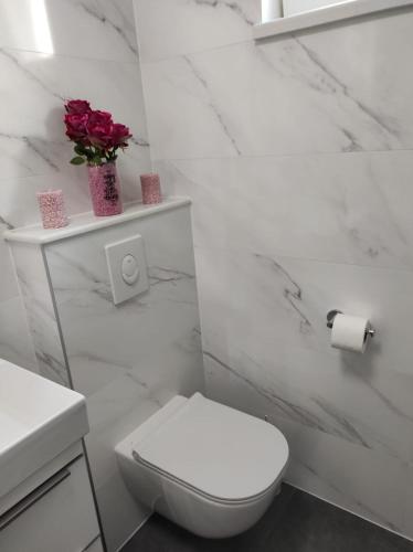 Apartman Koko with private jacuzzi photo 3