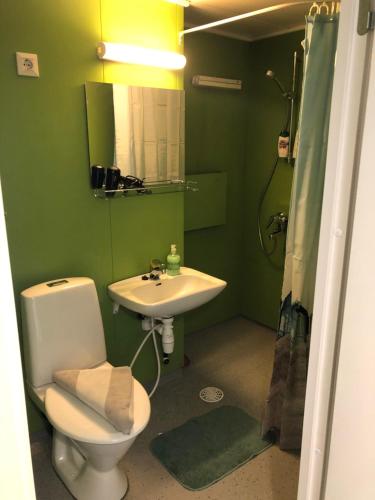 a green bathroom with a toilet and a sink at Lovely apartment within walking distance -centre in Pori