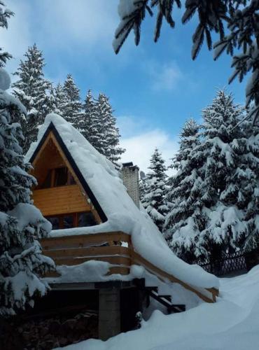 a log cabin with snow on top of it at Górska Pasja Istebna in Istebna