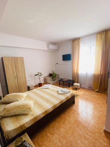 a bedroom with a large bed and a large window at Casa Ana in Bucharest