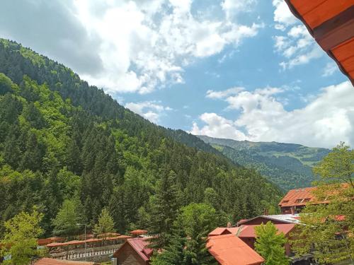 Blick auf einen Berg mit Bäumen und Gebäuden in der Unterkunft Han PANSİYON in Çaykara