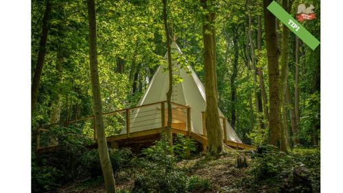 une tente au milieu d'une forêt dans l'établissement Woody Park, à Fécamp