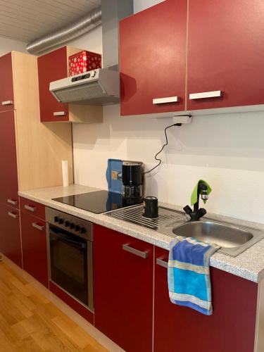 a kitchen with red cabinets and a sink at Haus Dreil in Ober-Abtsteinach