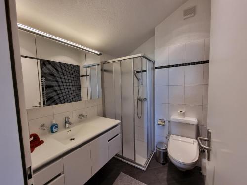 La salle de bains est pourvue de toilettes, d'un lavabo et d'une douche. dans l'établissement Seeparadiesli am schönen Thunersee, à Därligen