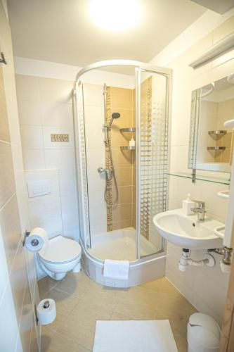 a bathroom with a shower and a toilet and a sink at Tatra House Residence in Zakopane