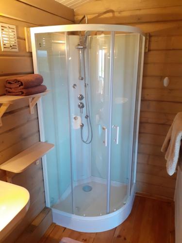 a shower with a glass door in a bathroom at Le Chalet in Saint-Jean-de-Minervois