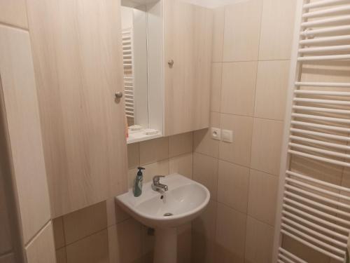 a white bathroom with a sink and a mirror at Chaloupka u Vejvodů in Skřípov