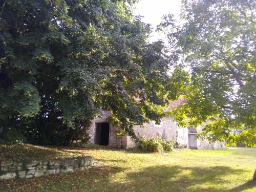 an old stone building in a field with a tree at La BerryCurienne proche du Zoo de Beauval Saint-Aignan avec SDB, WC ET SPA PRIVATIF pour chaque chambre in Luçay-le-Mâle