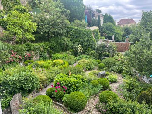 a garden with lots of plants and flowers at Winzerhof - Gästehaus Stöger in Dürnstein