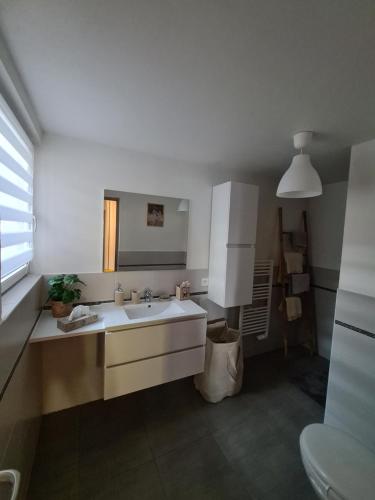 Virtuvė arba virtuvėlė apgyvendinimo įstaigoje Agréable appartement avec Spa proche de la forêt