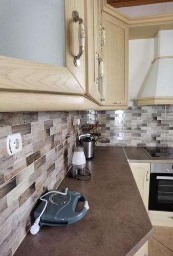 a kitchen counter with a pet bowl on the counter at GIALOS APARTMENT in Elafonisos