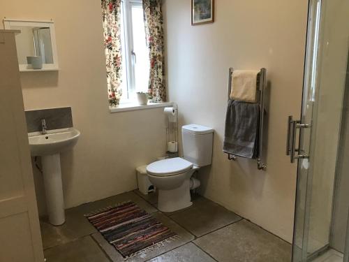 a bathroom with a toilet and a sink and a window at Beautiful 1-Bed Lodge in Clifford Hereford in Hereford