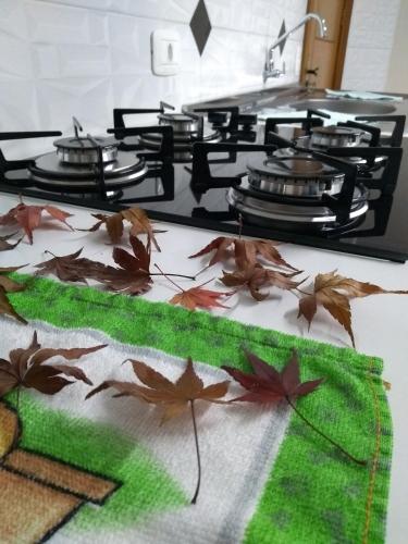 a stove with pots and pans and leaves on a table at Casa e Flat Conforto Gramado in Gramado