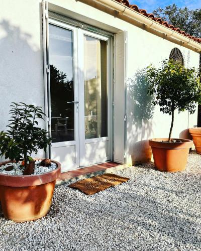 two potted plants sitting next to a sliding glass door at Minor Swing - appartment - CASA MONICA CARGESE - in Cargèse