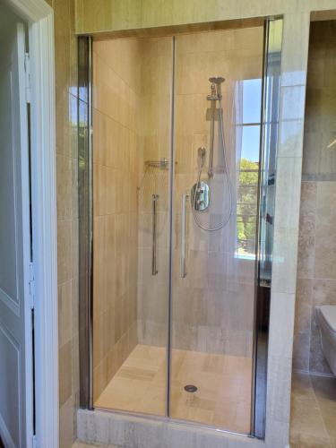 a shower with a glass door in a bathroom at Logis des Tourelles in Cognac