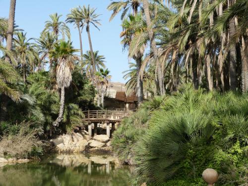 a wooden bridge over a pond with palm trees at Very best flat ust 800m Postiguet-Beach in Alicante
