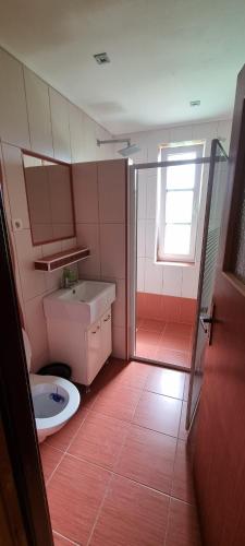 a small bathroom with a toilet and a shower at Pension Pod Lipou in Nová Ves v Horách