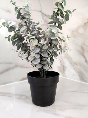 a plant in a black pot on a table at Sea Harmony in Kalathos