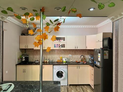 a kitchen with a washer and dryer at Gabriel's Apartment in Tskaltubo